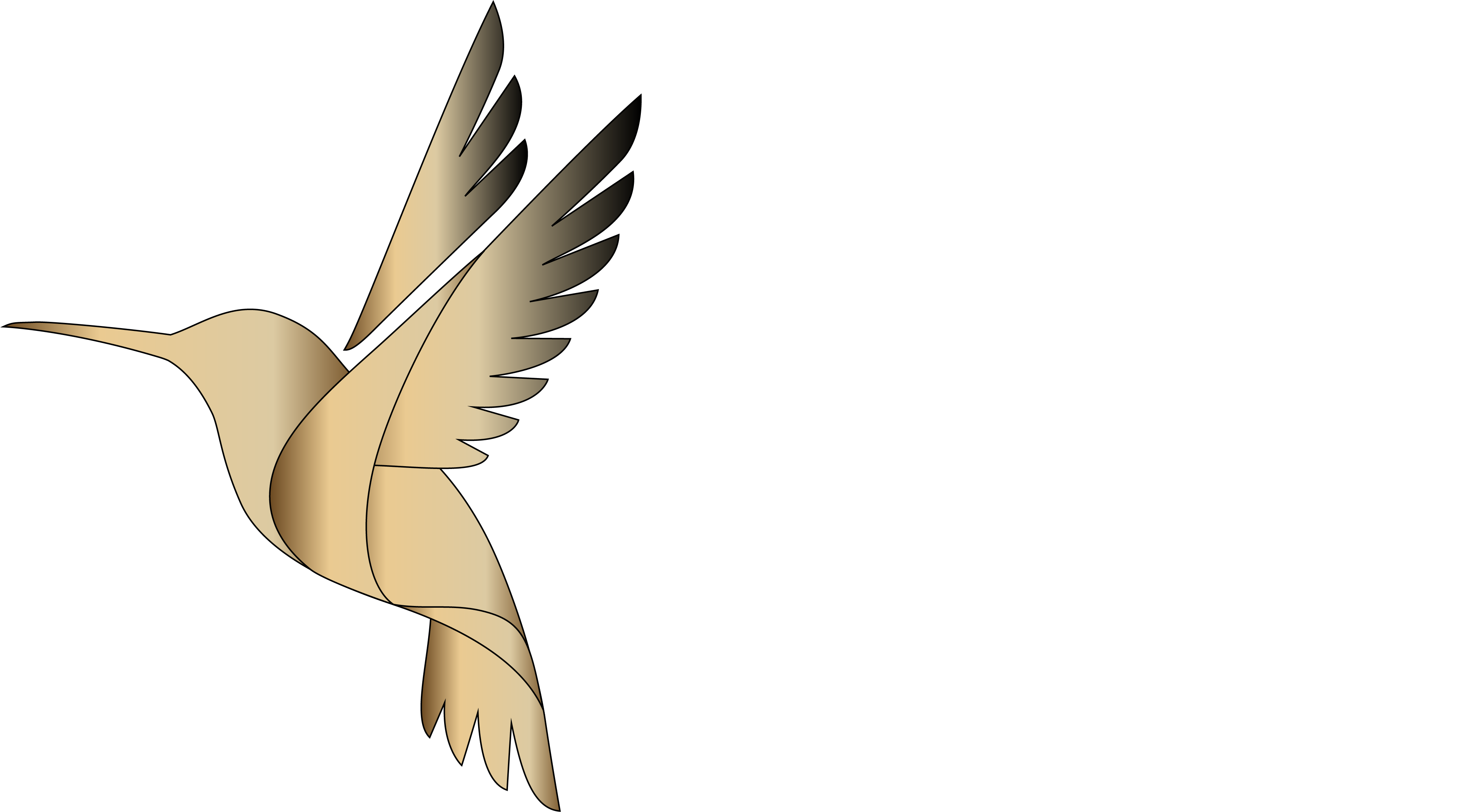 Arden Park logo